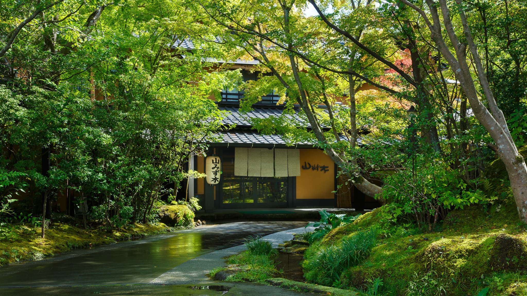黒川温泉の数寄屋造り旅館4選|庭園と客室露天2026